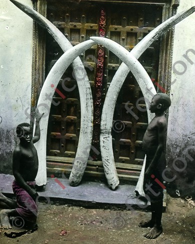 Elfenbein | Ivory - Foto foticon-simon-192-.jpg | foticon.de - Bilddatenbank für Motive aus Geschichte und Kultur